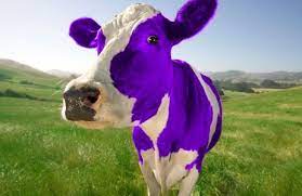 la-vaca-purpura-o-por-que-la-clave-del-exito-de-una-empresa-es-la-diferenciacion